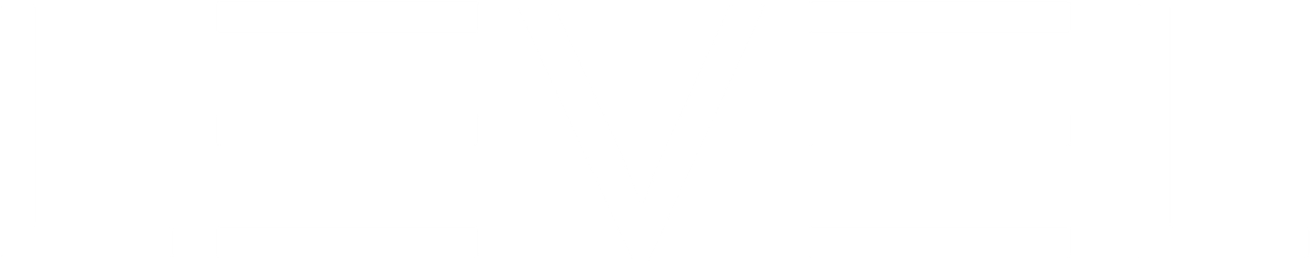 LEVEL logo